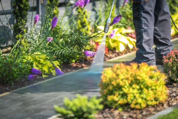 Best House Exterior Washing  in Livonia, MI