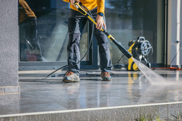 Best Sidewalk and Walkway Cleaning  in Livonia, MI