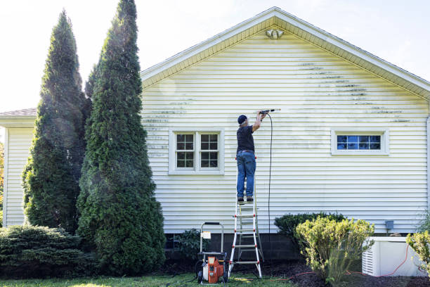 Solar Panel Cleaning in Livonia, MI